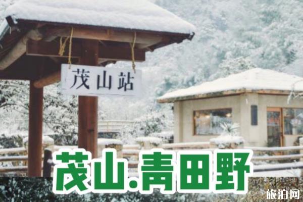 江浙沪周边温泉酒店推荐