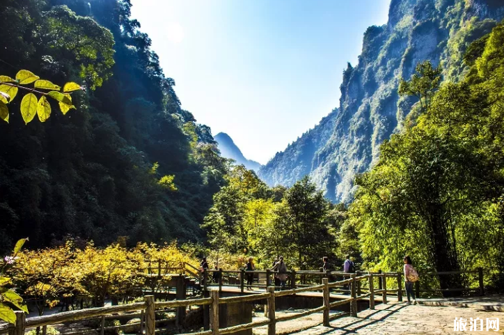 重庆万圣节有什么活动 重庆万圣节有哪些地方可以去玩