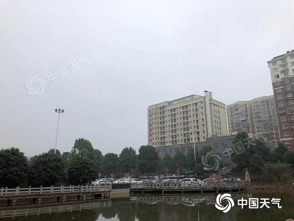 QQ图片20201129094742_副本.jpg
