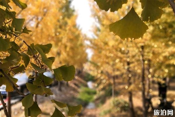 徐州三日游玩路线攻略 徐州三日游玩路线攻略