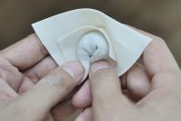 荠菜馄饨的做法步骤7