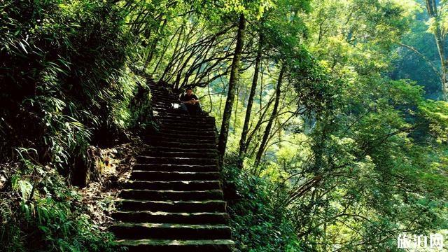 文成旅游美食攻略 文成县有什么好吃的特产 文成旅游美食攻略 文成县有什么好吃的特产