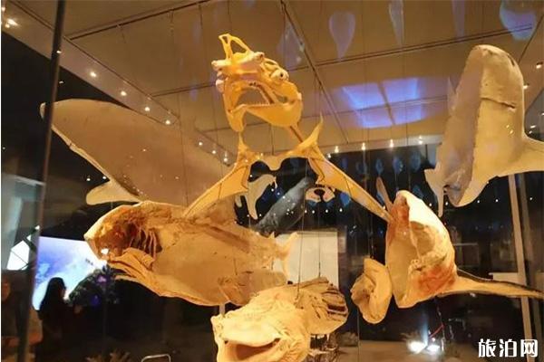 国家海洋博物馆有几个展厅