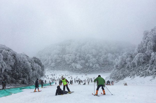 重庆金佛山滑雪场如何 重庆金佛山滑雪场门票