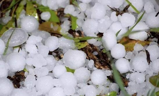 潍坊冰雹雷雨大风天气频发 气温整体偏高森林防火形势严峻
