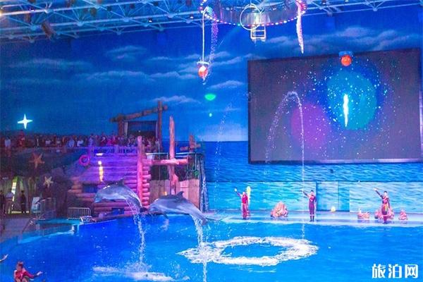 大连老虎滩海洋公园8月份表演时间+索道多少钱