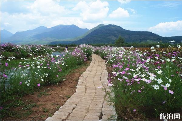 云南旅游拍照指南+住宿+费用