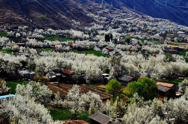 春天有哪些美的地方 中国春天最美的地方