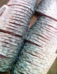 红焖腌鱼的做法步骤3