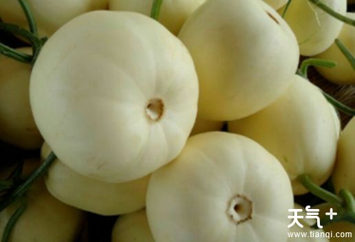 山东济宁金乡县知名特产有哪些 适合带走的金乡特产