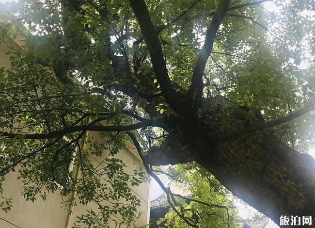 开化自驾游攻略 霞山古村游玩攻略 金溪桃韵游玩攻略