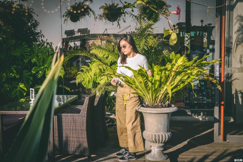 高雄有哪些小清新景点