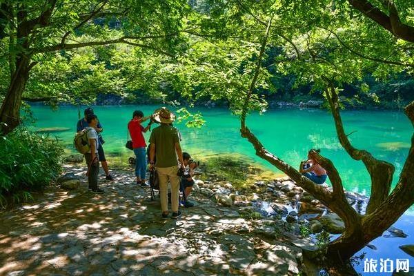 牯牛降风景区旅游攻略