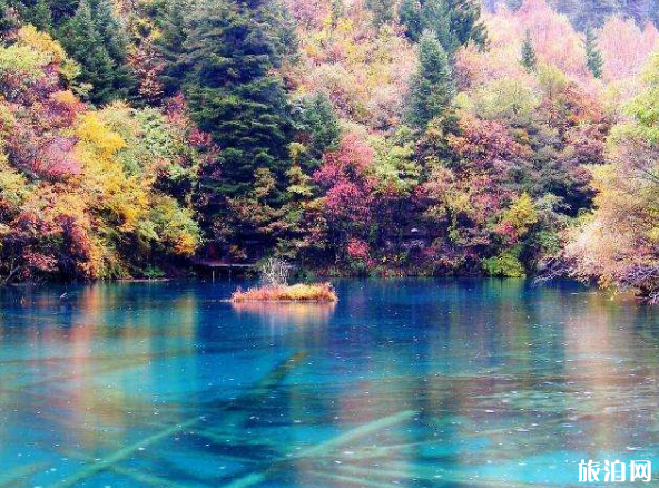 九寨沟今年2019开放吗 九寨沟今年2019开放吗