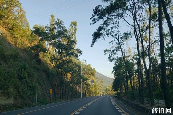 惠州南昆山国家森林公园好玩吗 自驾游路线