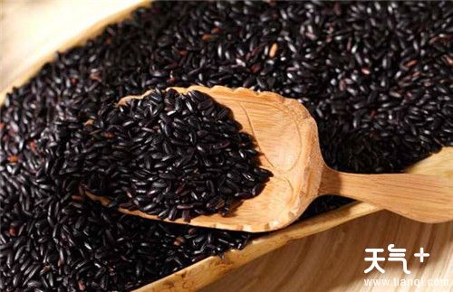 煮粥用什么米比较好 分享6种适合煮粥的米