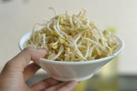 干煸黄豆芽的做法步骤2