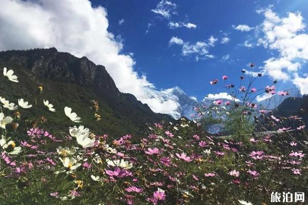 观看南迦巴瓦位置有哪些 观看南迦巴瓦位置有哪些