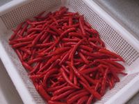 糟姜的做法步骤4