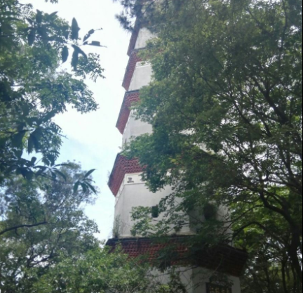 梧州文笔塔在哪里?