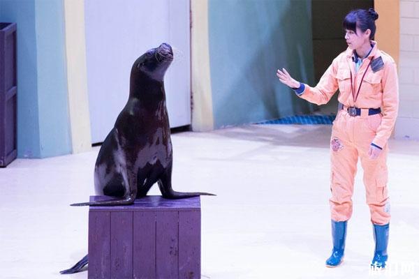 珠海长隆海洋世界游玩攻略