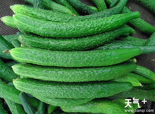 吃什么让皮肤变白？让皮肤变白的10种食物