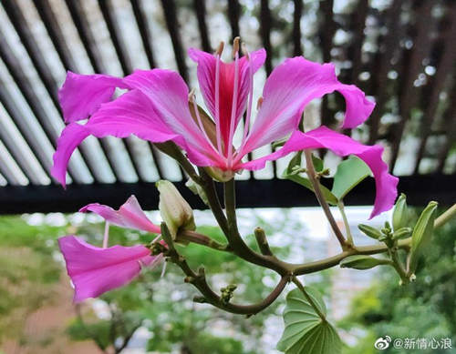 强台风“环高”趋越南 广东沿海风力较大
