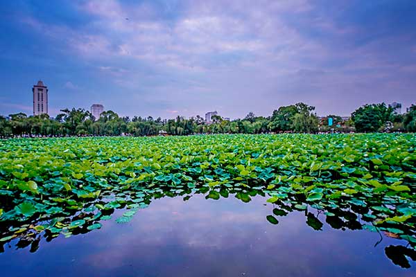 昆明旅游攻略景点大全