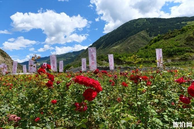 四姑娘山旅游攻略2019