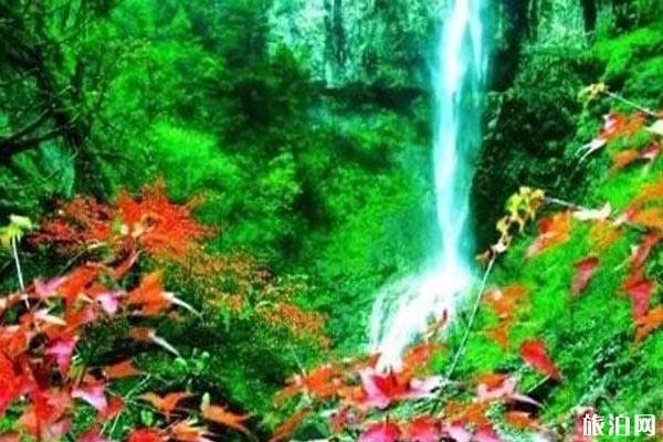 甘肃秋景哪里最美