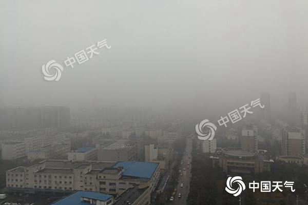 1548813527856033639_副本.jpg