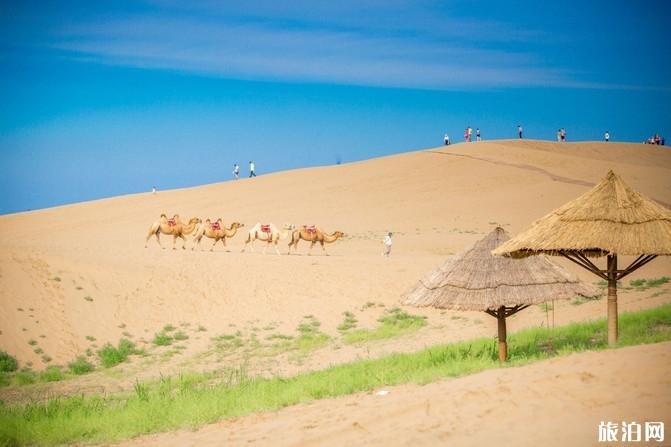 宁夏自驾游攻略及花费最新