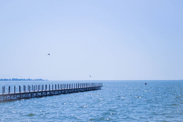 四月初国内旅游好去处 四月初适合去国内哪里旅游