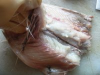 酸菜鱼火锅的做法步骤2