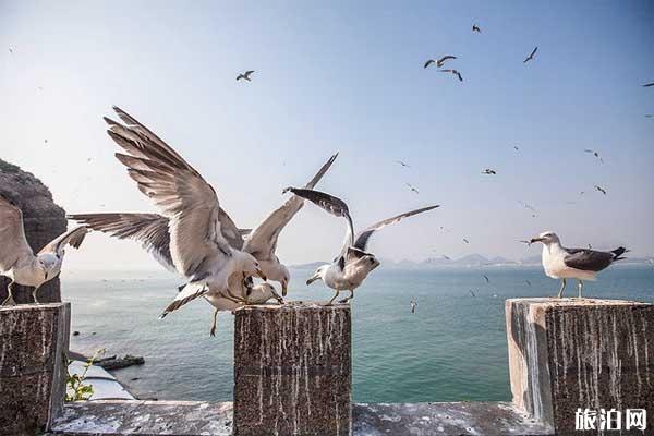 威海西霞口三日旅游攻略+交通+住宿+行程