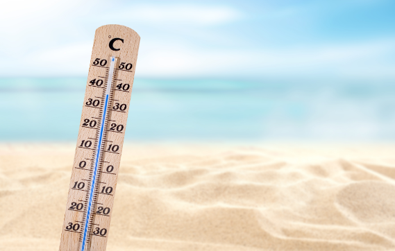重庆本周持续高温 气温高达42℃森林火险等级高