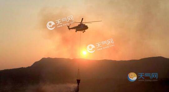 希腊埃维亚岛发生森林火灾 10人送医现场火光四射