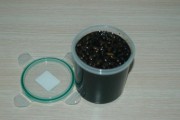 阿胶膏的做法步骤7