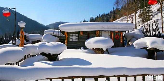 雪乡和雪谷哪个好玩 哈尔滨雪乡怎么去