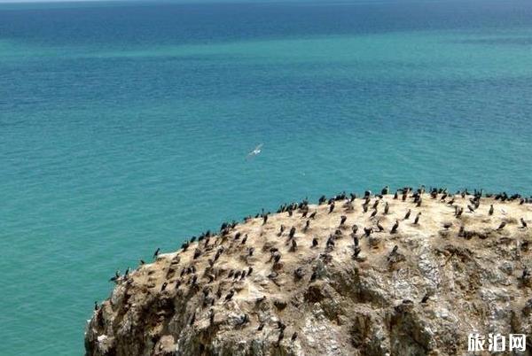 青海湖旅游攻略2019