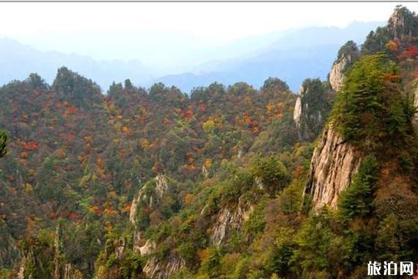 老君山红叶什么时候最美 老君山红叶观赏地点推荐