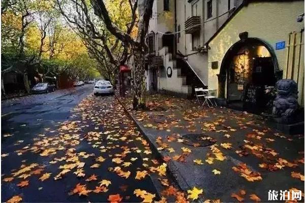 上海哪里可以赏红枫叶 上海哪里可以赏红枫叶