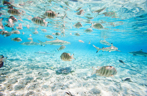 什么时候去大溪地玩好 几月份去大溪地旅游好