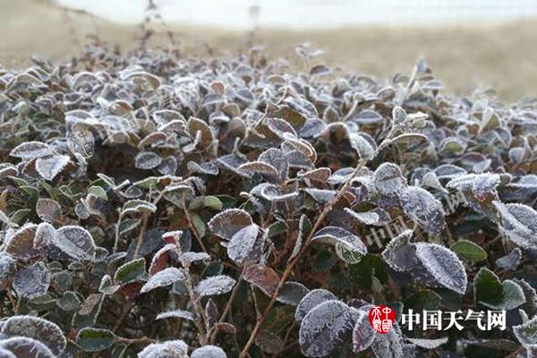 广东开启升温进程早晚仍寒冷 广州最高温将重回20℃