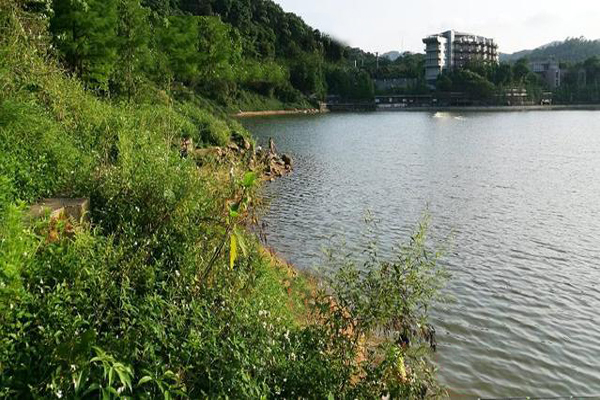 广州钓鱼的地方 广州哪些地方可以钓鱼