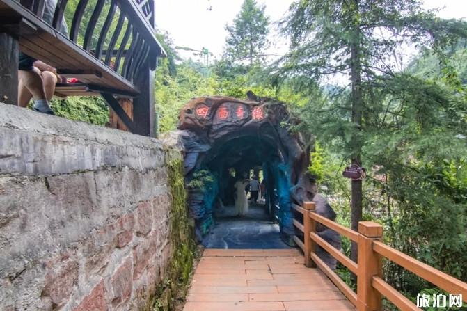 四面山旅游攻略一日游 四面山旅游攻略一日游