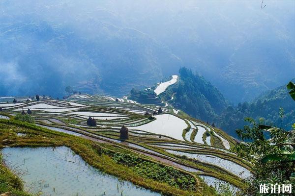 2019贵州286个A级景区半价有玩（景区名单+优惠时间）