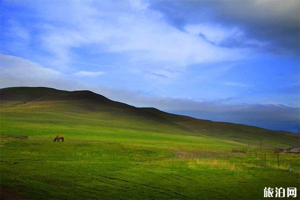 呼伦贝尔草原经典环线四日游攻略