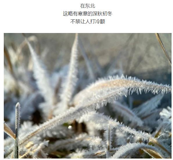 气温忽上忽下，注意预防感冒