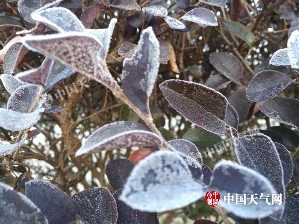明后天广东最低温仍在5℃以下 后天起气温将回升